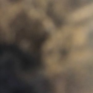 Meet your Posher, Parker